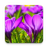 icon Beautiful Spring Flowers Live Wallpaper(Güzel Bahar Çiçekleri Canlı) 1.0.8