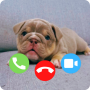 icon Dog Fake Call Prank Video Game(Köpek Sahte Arama Şakası Video Oyunu)