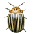 icon Crash Beetle(Beetle Zombi Kazası) 1.6.6