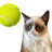 icon Tennis Cat(Kedi Tenisi: Savaş Meme) 1.0.6
