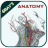 icon Anatomy(Gray's Anatomy - Anatomy Atlas
) 5.5
