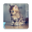 icon Cats Wallpapers(Kediler Duvar Kağıtları) 1.3.5