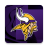 icon Vikings(Minnesota Vikings) 21.10.608