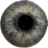 icon Eye Diagnosis(Göz teşhisi) 1.4.3