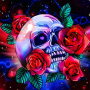 icon Skull Coloring Book(Kafatası Boyama Kitabı Renk Oyunu)
