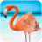icon The Flamingo(Flamingo
) 1.0.8