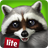 icon Wildlife (Pet World - WildLife America) 1.6.2