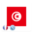 icon org.kiwix.kiwixcustomtunisie(Tunus ansiklopedisi) 2016-10