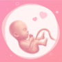 icon Pregnancy(Gebelik İzleyici ve Bebek Rehberi
)