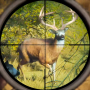 icon Jungle Hunting(Vahşi Hayvan Avı Oyunları Gun
)