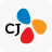 icon CJ on style Guide(cj onstyle Uygulama Kılavuzu
) 1.0