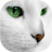 icon com.neygavets.livewallpaper.whitecats(Beyaz Kediler Canlı Duvar Kağıdı) 3.1