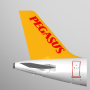 icon Pegasus: Cheap Flight Tickets (Pegasus: Ucuz Uçak Biletleri)