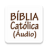 icon com.biblia_catolica_audio_portugues.biblia_catolica_audio_portugues(Kaynağı görüntüle) 310.0.0