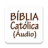 icon com.biblia_catolica_audio_portugues.biblia_catolica_audio_portugues(Sesli İfadelerde Katolik İncil) 310.0.0