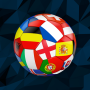 icon International Football Sim ()