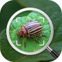 icon Insect identification: Bug identifier - Bug finder (Böcek tanımlama: Hata tanımlayıcı - Hata bulucu
)