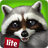 icon WL America (Pet World - WildLife America) 1.8