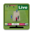 icon Cricket Live Tv(Kriket Canlı Tv Spor
) 4.1.0