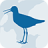 icon Wadvogels(Sığ kuşlar) 2.0