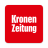 icon Krone(taç) 3.1.50493247