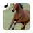 icon Horse sounds(Horses Sounds for Cell Phone ücretsiz.
) 1.14