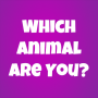 icon Which Animal Are You?(Hangi Hayvansınız?
)
