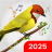 icon Birds Ringtones(Kuşlar Sesler ve Kuşlar Zil Sesleri) 2.0.39
