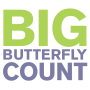 icon Big Butterfly Count(Büyük Kelebek Sayısı)