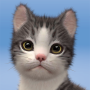 icon My Cat(Kitten: Cat Game Simulator)