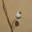 icon WappoiESC(Wappoi Kaçış) 1.0.7
