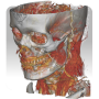 icon DroidRender(DroidRender - 3D DICOM görüntüleyici)