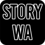 icon Story WA(Story WA - Dana Bull Music Video Editor)
