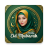 icon 2.0