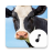 icon Cow Sounds(İnek sesleri) 4.9.2