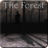 icon Slendrina: The Forest(Slendrina: Orman) 1.0.3