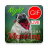icon GIF Afrikaans Morning & Night(Afrikaans Sabah Gece Gifleri) 2.15.01