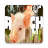 icon Ranch Simulator Free Advices(Ranch Simulator Ücretsiz Tavsiyeler
) 1.0