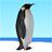 icon Flying penguin(Uçan penguen) 1.33