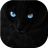 icon Black Cats Live Wallpaper(Kara kediler Canlı Duvar Kağıdı) 4.0