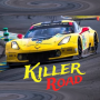 icon Road Killer Car Racing Game (Road Killer Araba Yarışı Oyunu
)