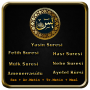 icon Yasin Fetih Amme Sesli()