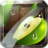 icon Fruit Slice(Meyve Dilimi) 1.4.5
