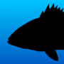 icon Fish Rules(Balık Kuralları: Balık Tutma Uygulaması)