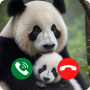 icon Panda Call Video (Panda Çağrısı Video)