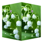 icon AppLock Theme Lily of the Valley(AppLock Lily of the Valley)