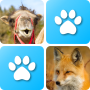 icon Pairs Animals(Çiftler: Hayvanlar)