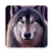 icon Golden Wolf(Golden Wolf
) 1.0