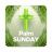 icon Palm Sunday Wishes(Palm Pazar Dilekleri) 2.69.1