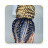 icon Afro Hairstyles(Afro Saç Modelleri
) 1.0